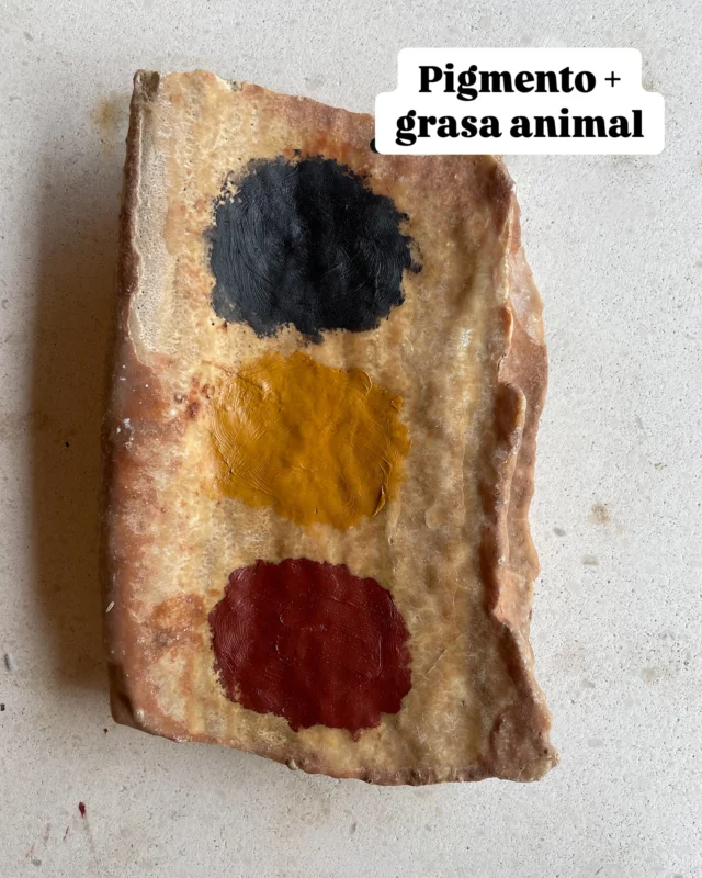 La semana pasada en Sierra Mágina estuve debatiendo con varios arqueólogos si la pintura rupestre llevaba o no aglutinante. 

Mi respueta inmediata fue que sí. Nunca había pensado que fuera sólo pigmento en polvo porque un pigmento en polvo no aguantaría 30.000 años en una pared… ¿o sí? 

Estuve considerando la posibilidad de que se hubiera integrado con la pared como una especie de fresco. Para un fresco se prepara la mezcla y se pinta aún en estado húmedo, de manera que al secarse, el pigmento se fusiona con la pared y es casi indestructible (por eso los frescos duran tanto). 

¿Sería esto lo que pasaba en una cueva? Que yo sepa, no había una imprimación de la pared, aunque la unión de la humedad y la formación de cal podrían hacer un efecto similar…o quizás no. No hay prácticamente estudios sobre esto porque es difícil tomar muestras. Lo poco que se conoce es pintura que estaba guardada para usarse, pero no sobre pared (y sólo conozco un caso en Sudáfrica en el que se usó leche como aglutinante). 

De todas formas, sigo pensando que casi siempre habría un aglutinante (el carbón podría ser una excepción). Y he hecho algo que llevaba tiempo pensando: un pequeño experimento con los tres pigmentos típicos de la prehistoria: 
dos ocres (óxido - rojo - e hidróxido - amarillo - de hierro) y una tierra negra que compré hace poco pero no estoy 100% segura de su composición, aunque diría que tiene manganeso, que es un pigmento habitual en la prehistoria. 

He usados dos aglutinantes: grasa animal (manteca de cerdo) y resina vegetal (goma arábiga). Unos están expuestos al sol, y otros en penumbra permanente. La superficie es piedra caliza, y hay una placa de la pared de una cueva (tipo estalagmita). Veremos cómo envejecen. 

#pigmentos #arterupestre #experimento #pintura #tecnología #prehistoria #aglutinante #ocre #paleolítico #arqueología #investigación #pigments #ochre #prehistory #stoneage #stoneagetechnology #paint #rockart #experiment #binders